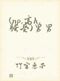 (np,高h,骚受)男男封面