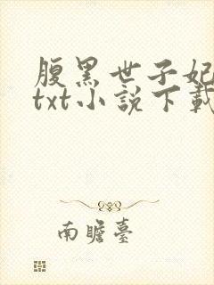 腹黑世子妃日常txt小说下载