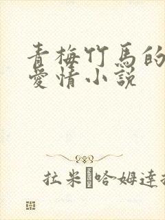 青梅竹马的校园爱情小说封面