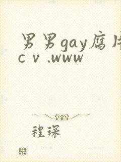 男男gay腐片cⅴ.www