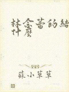 林念蕾的结局是什么