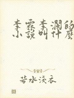 李霖李澜的官场小说叫什么