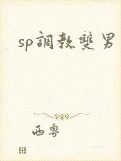 sp调教双男