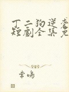 丁二狗逆袭人生短剧全集免费观看