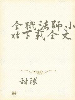 全职法师小说txt下载全文笔趣阁