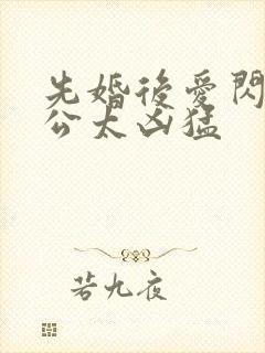 先婚后爱闪婚老公太凶猛