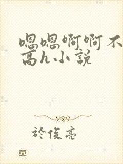嗯嗯啊啊不要啊高h小说