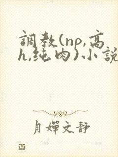 调教(np,高h,纯肉)小说