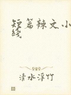 短篇辣文小说在线