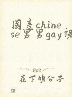 国产chinese男男gay视频网