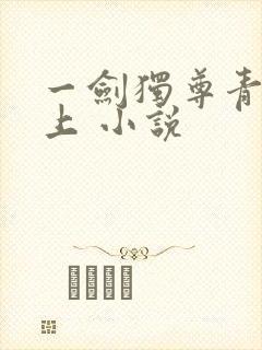 一剑独尊青鸾峰上 小说