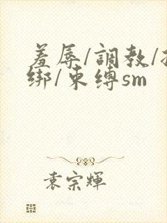 羞辱/调教/捆绑/束缚sm封面