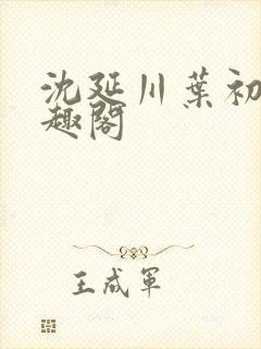 沈延川叶初棠笔趣阁