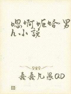 嗯啊呃哈男男高h小说封面