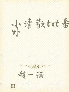 小清欢txt番外封面
