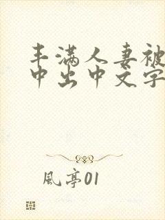 丰满人妻被连续中出中文字幕
