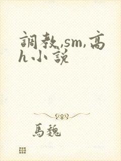 调教,sm,高h小说