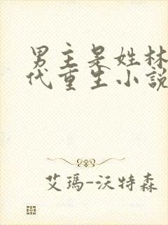 男主是姓林的现代重生小说