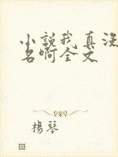 小说我真没想出名啊全文