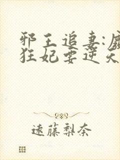邪王追妻:废材狂妃要逆天