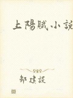上阳赋小说