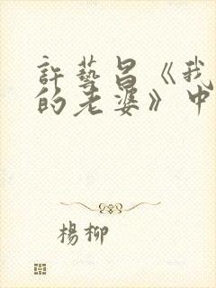 许艺昌《我朋友的老婆》中文
