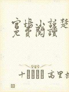 官场小说楚东恒免费阅读