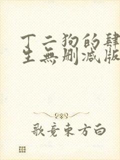 丁二狗的肆意人生无删减版 小说