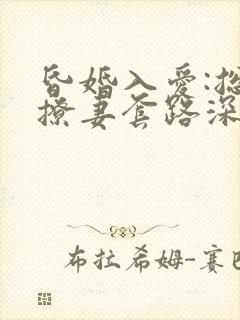 昏婚入爱:总裁撩妻套路深封面