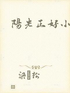 阳光正好小说