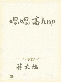 嗯嗯高hnp封面