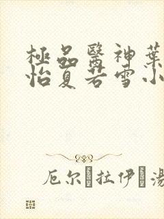 极品医神叶辰孙怡夏若雪小说