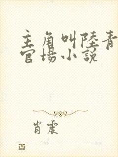 主角叫陆青云的官场小说