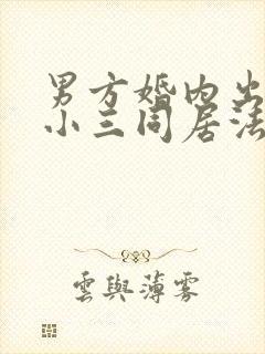 男方婚内出轨与小三同居法律怎么判