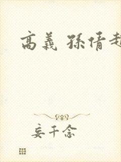 高义 孙倩赵敏