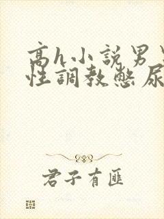 高h小说男男双性调教憋尿