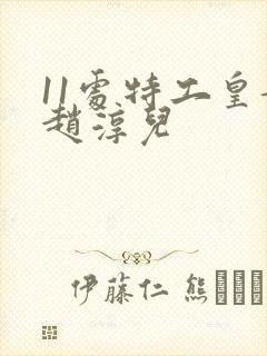 11处特工皇妃赵淳儿封面