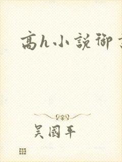 高h小说御书屋