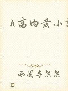 h高肉黄小说