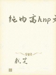 纯肉高hnp文