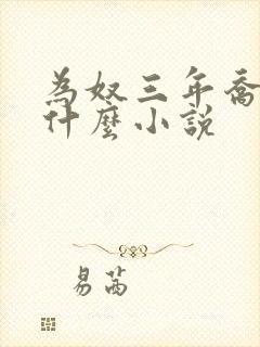 为奴三年乔念是什么小说