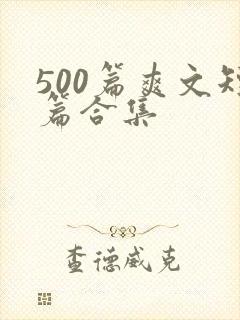 500篇爽文短篇合集封面
