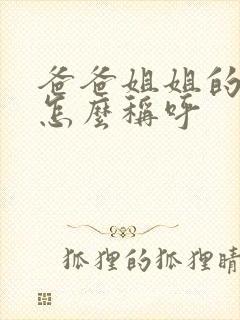 爸爸姐姐的丈夫怎么称呼
