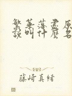 繁华落尽原著小说叫什么名字