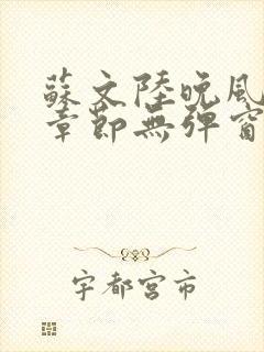 苏文陆晚风最新章节无弹窗笔趣阁