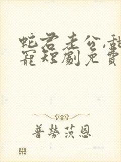 蛇君老公,甜又宠短剧免费观看全集高清