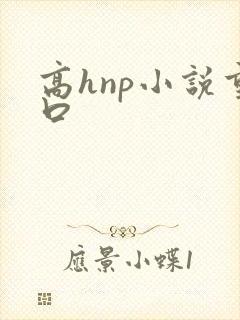高hnp小说重口封面
