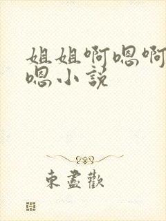 姐姐啊嗯啊嗯啊嗯小说