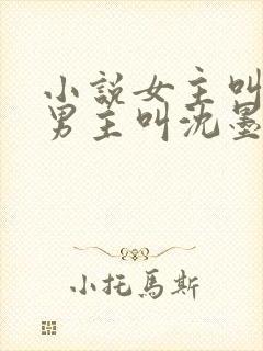 小说女主叫苏桃男主叫沈墨尘
