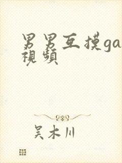 男男互摸gay视频